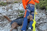 Vier Pfoten in Not: Bergwacht rettet Labrador nach Sturz in die Tiefe