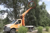 Baumarbeiterin in schwindelerregender Höhe gefangen: Hubschrauber im Einsatz