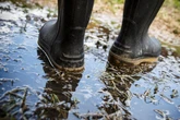 50 Millionen Schaden in 48 Stunden: Unwetter vernichtet ganze Ernten