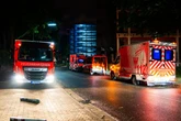 Hantavirus: Warum sind die vier Passagiere nach Frankfurt gekommen?