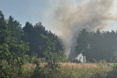Riesige Rauchwolke über Waldgebiet: Feuerwehr muss nahe Bahnübergang löschen