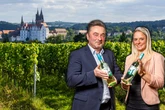 Nur keine Extreme - Sachsens Winzer hoffen auf Traum-Ertrag