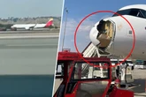 Nase zertrümmert: Passagierflieger kracht mit Geier zusammen