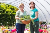 Grüne Daumen, aufgepasst! Pillnitzer Gartenprofis geben gerne Tipps