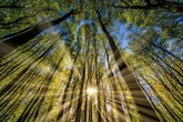 Horoskop heute: Tageshoroskop kostenlos für den 27.9.2025
