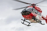 Hunde-Attacke bei Spaziergang: Rettungshubschrauber fliegt Opfer in Klinik