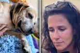 Hund wird vermittelt: Was Tierheim-Mitarbeiterin neun Jahre später sieht, bricht ihr Herz