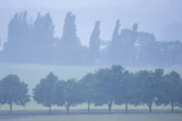 Heftige Unwetterwarnung für Mecklenburg-Vorpommern: Regen auf Ahrtal-Niveau möglich