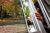 Mieter überraschen Einbrecher in ihrer Wohnung: Plötzlich fallen Schüsse