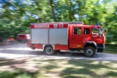 Waldbrandgefahr im Südwesten steigt: Diese Regeln gilt es, zu beachten