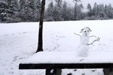 Weißer Winter in Bayern: Erste Vorhersage lässt aufhorchen