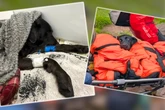 Labrador bricht auf Wanderung zusammen: Seine Rettung kommt in letzter Minute