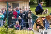 Offenes Tierheim: Hunderte zu Besuch bei Bello & Co.