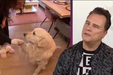 "Shopping Queen"-Finale: Als Golden Retriever ins Bild huscht, ist es für Guido Maria Kretschmer aus und vorbei