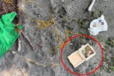 Grausamer Fund am Strand: Mann findet als Geschenk verpackten Zeh!