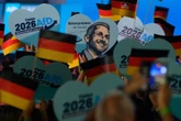 Wirtschaftsinstitut: AfD-Wähler schaden sich aus diesem Grund selbst am meisten