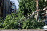 Unwetter mit tragischen Folgen: Mann von Baum erschlagen, Frau im Koma