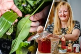 Frisch, knackig und gesund: Sächsische Kräuter-Expertin gibt wertvolle Tipps