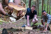Schauer-Sommer bringt Pracht-Pilze: Zwei Australier im Osten auf Pilzsuche
