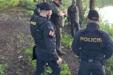 Horror unweit deutscher Grenze: Mutter wirft Neugeborenes Hunden zum Fraß vor