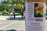 Teddy-Klau in Berlin: Bielefelder bietet 5000 Euro für verschwundenen Glücksbringer