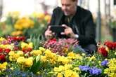 Zu wenige Besucher? Landesgartenschau in Neuss zieht ernüchternde Zwischenbilanz