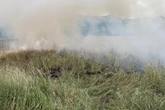 Abgefeuerte Silvesterraketen sorgen für riesigen Flächenbrand