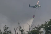 Waldbrand-Katastrophe in den USA: Helikopter-Pilot (†56) stürzt ab
