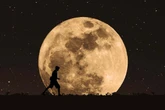 Horoskop morgen: Tageshoroskop kostenlos für den 17.4.2026