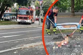 Ekel-Alarm! Was hier auf der Straße liegt, bringt die Feuerwehr an Grenzen