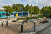 Einsatz in Gorbitz: Frau schmeißt im Streit Teller nach Kindern und trifft 13-Jährigen