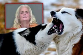 Oma (†86) von zwei Hunden zerfleischt: Nachbarin festgenommen