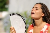 Hitzeblog für Dresden: 32 Grad und es wird noch heißer - 40-Grad-Hitze-Koller am Wochenende erwartet