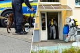 Verdächtige Substanz bei Zwangsräumung in Sachsen entdeckt: Sprengstoffhund muss ran