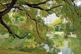 Vom Ekel-Tümpel zum Großstadt-Idyll: Wann Leipzigs Schwanenteich wieder eröffnen soll