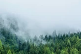 Horoskop morgen: Tageshoroskop kostenlos für den 16.5.2025