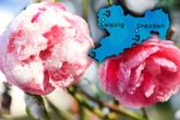 21 bis -3 Grad am Wochenende: Temperatur-Hoch und -Sturz in Sachsen