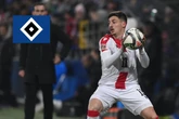 HSV-Blog: Rothosen mit Niederlagen in der WM-Quali