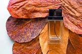 Herbstparfums 2025 für ihn: Diese 5 Männerdüfte machen den Herbst unwiderstehlich!