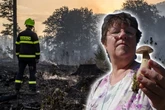 Nach den großen Waldbränden sprießen plötzlich seltene Pilze