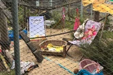 Liebe geht durch den Magen: Tierheim zaubert Sommer auf den Grill