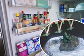 Umweltfreundliche Kühlschränke? Diese Sensation könnte es in Zukunft möglich machen