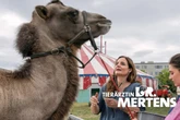 "Tierärztin Dr. Mertens": Kommt jetzt endlich die Wahrheit ans Licht?