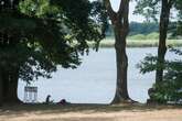 Besitzer-Wechsel am Badeteich: Dresdner verwandeln See-Terrasse in Uferzone