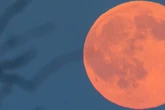 Seltenes Himmelsgeschehnis: Gigantischer Erdbeermond strahlt heute über Deutschland