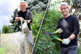 Chef der "Herkuleskeule" ist im Garten noch Lehrling
