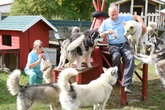 Sachsen-Anhalter macht Therapie mit Huskys: Wie vier Pfoten Unmögliches möglich machen