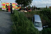 Drei Verletzte! Autos krachen auf Bundesstraße zusammen, Welpe muss gerettet werden