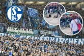 Keine Entschuldigung: Schalker Ultras beziehen Stellung zur "Schande von Dublin"