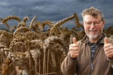Gelbweizen, Dinkel oder Leindotter: Sachsens Bauern setzen wieder auf historische Sorten